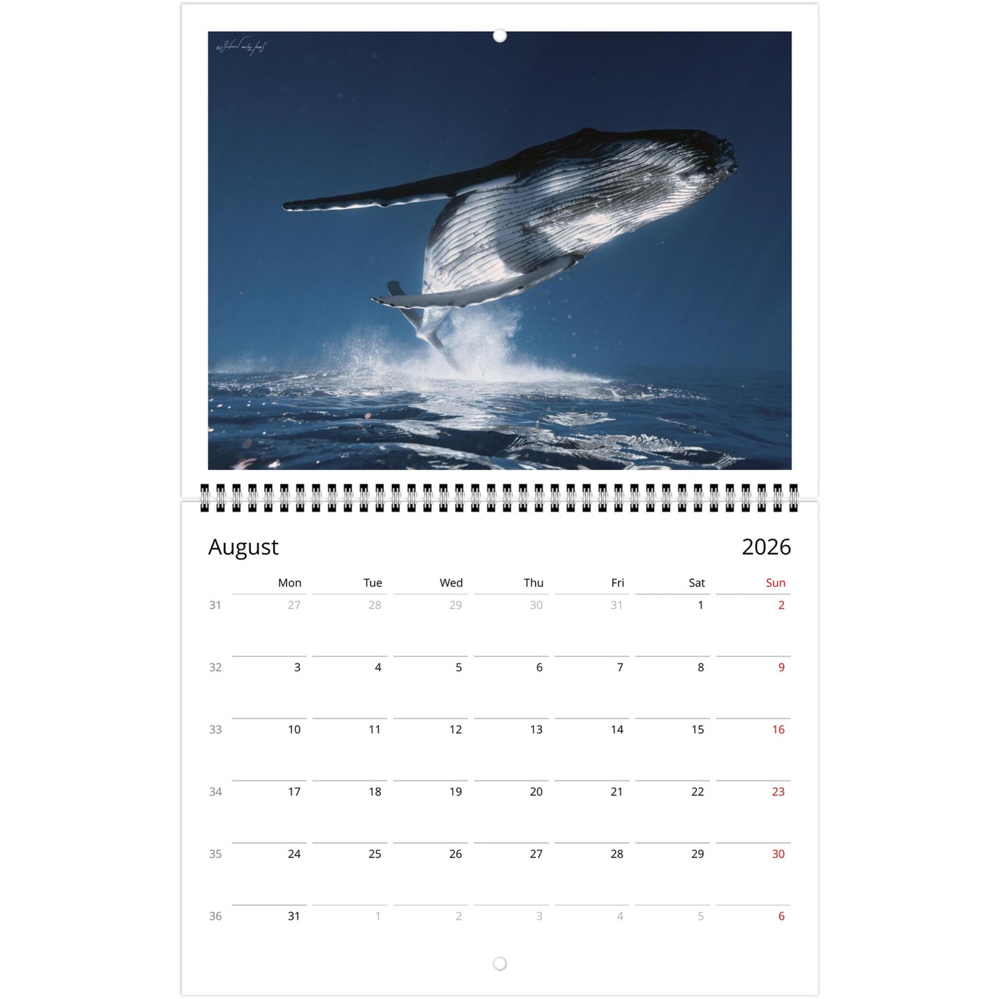 a8724261-19d6-4b57-a7ec-cb289f4f0a35