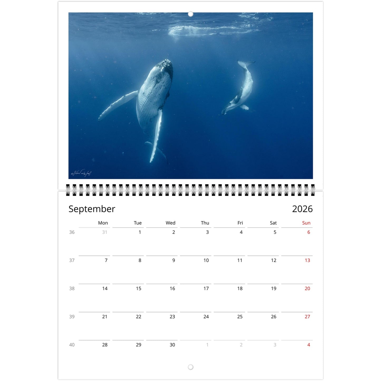 1557f440-6102-49e5-b4d3-105ce8fadd07