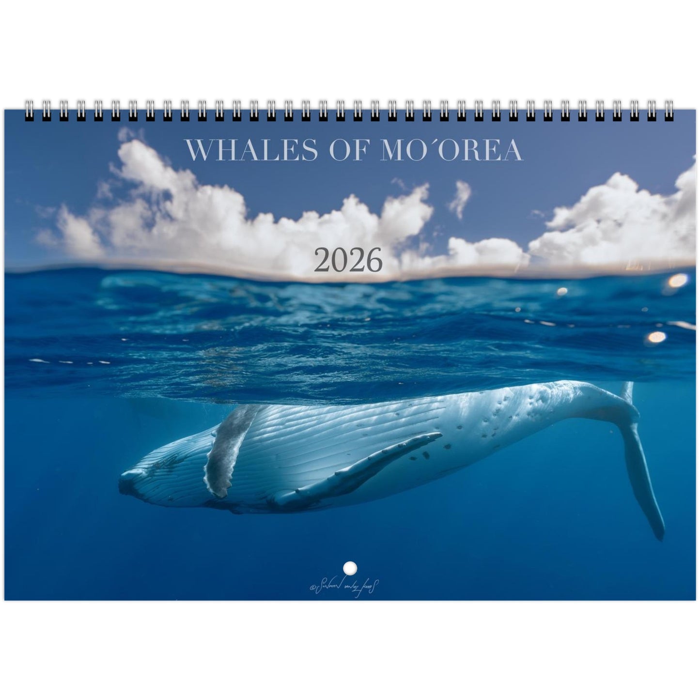 196e2368-ea84-4864-8f9c-e41f60440d60