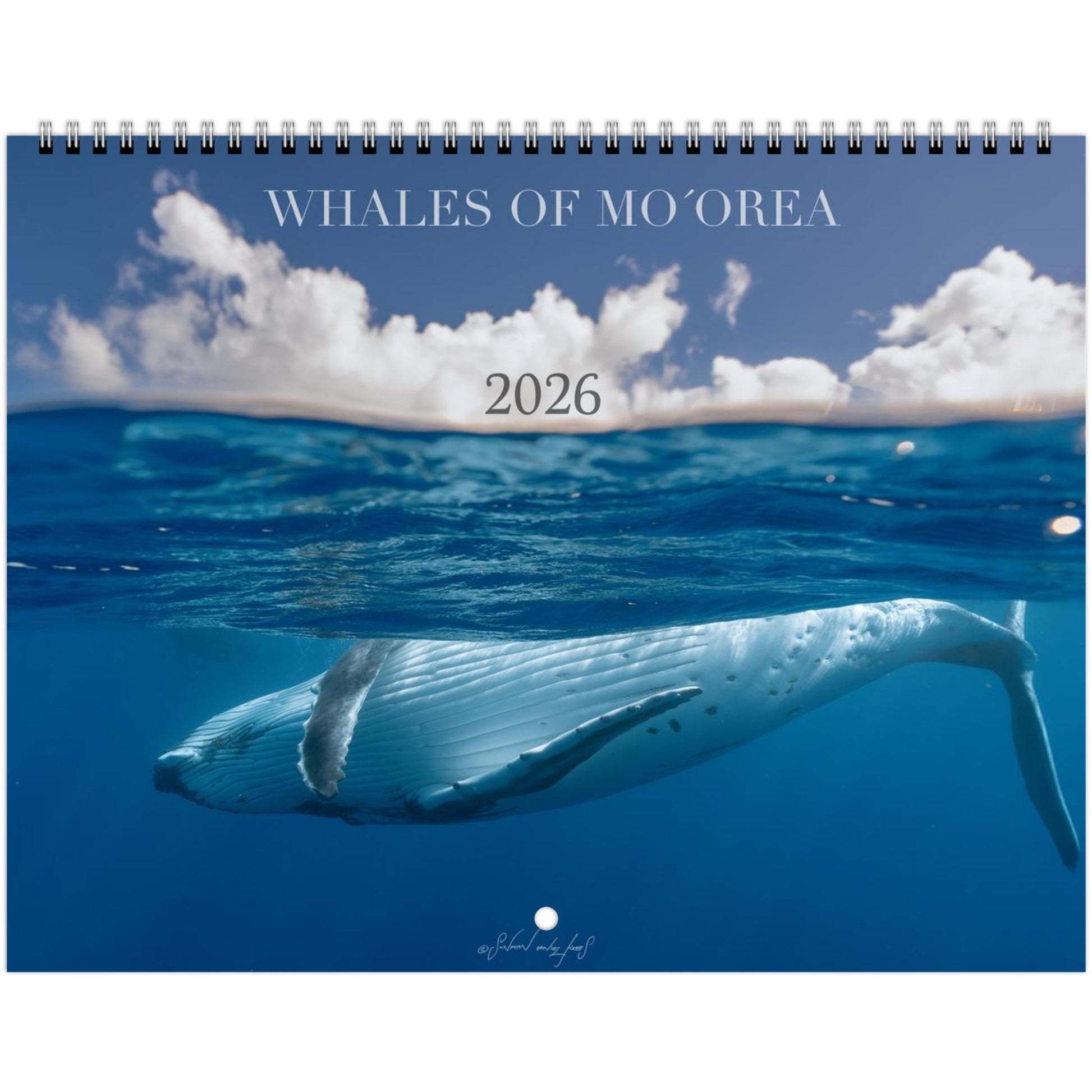 270f2469-e2a4-4e21-9cc2-351a4825c8c2