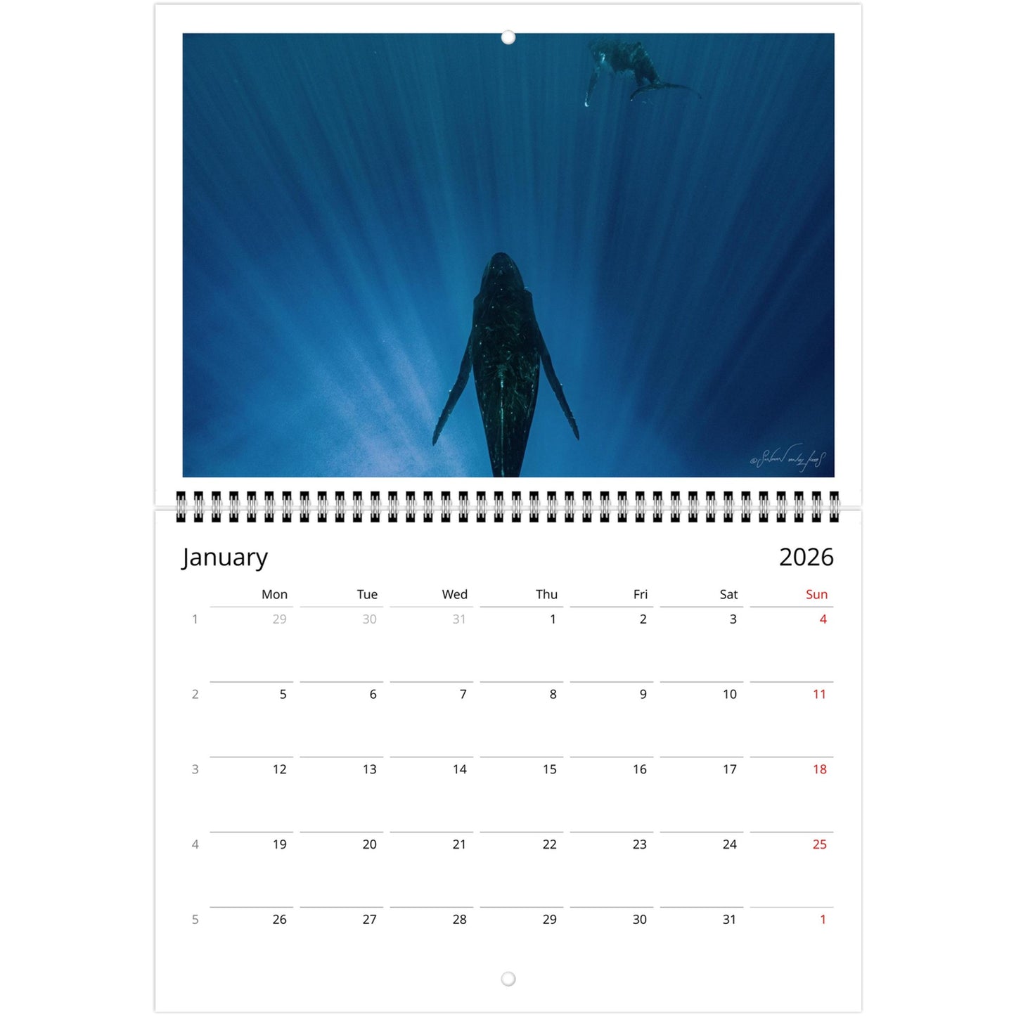 389896fc-25b1-4978-9547-f75ea90cbd94