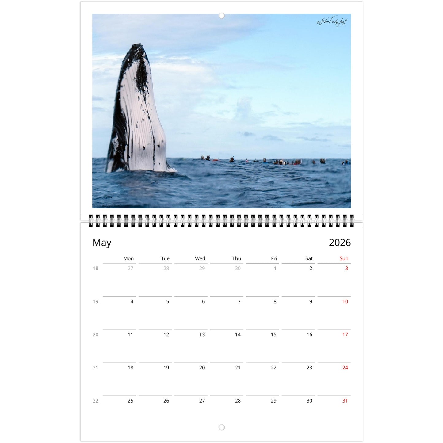 43a9163d-21f5-4925-a8f0-7d743a911efb