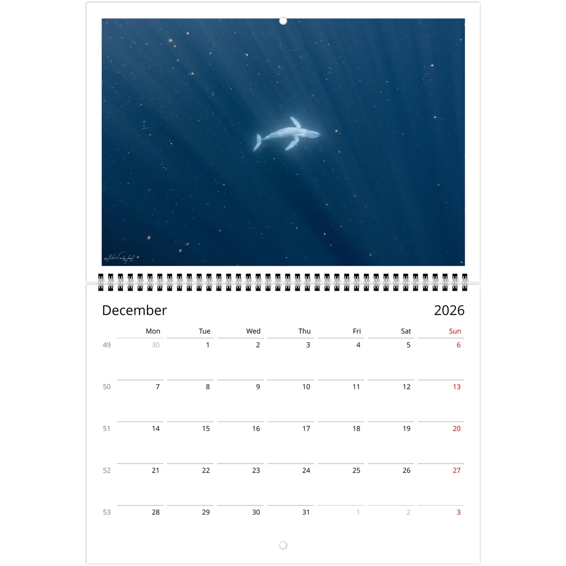 4868d58d-149d-477c-b8dd-0aa2fd623725