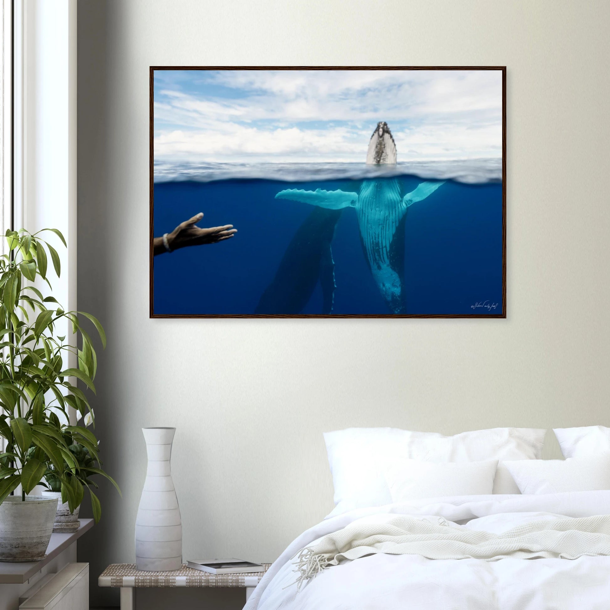 56fbeba9-89cc-4ac9-a929-6a763f38eddc