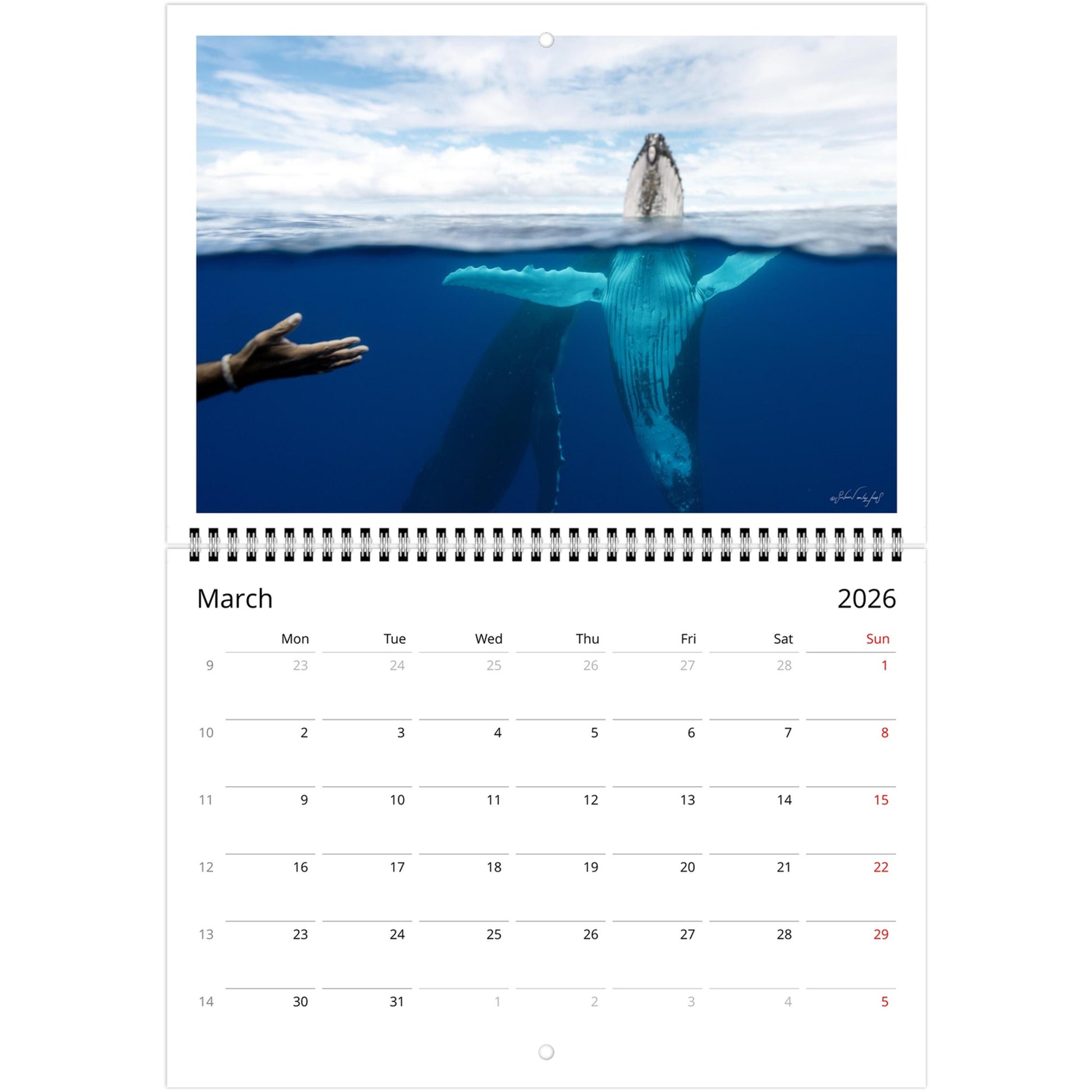 59a22ca2-d5e6-4969-abae-04f9df2c4b14