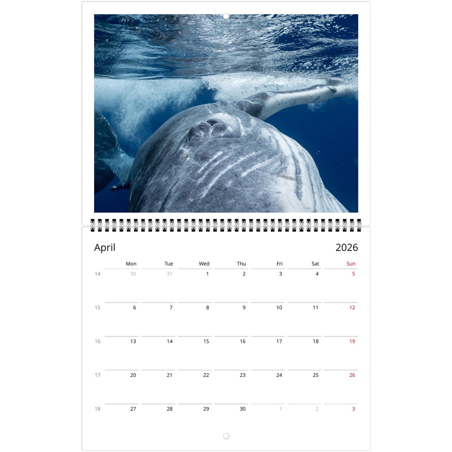 735d479e-f607-4b30-93d3-4e32d88e0723