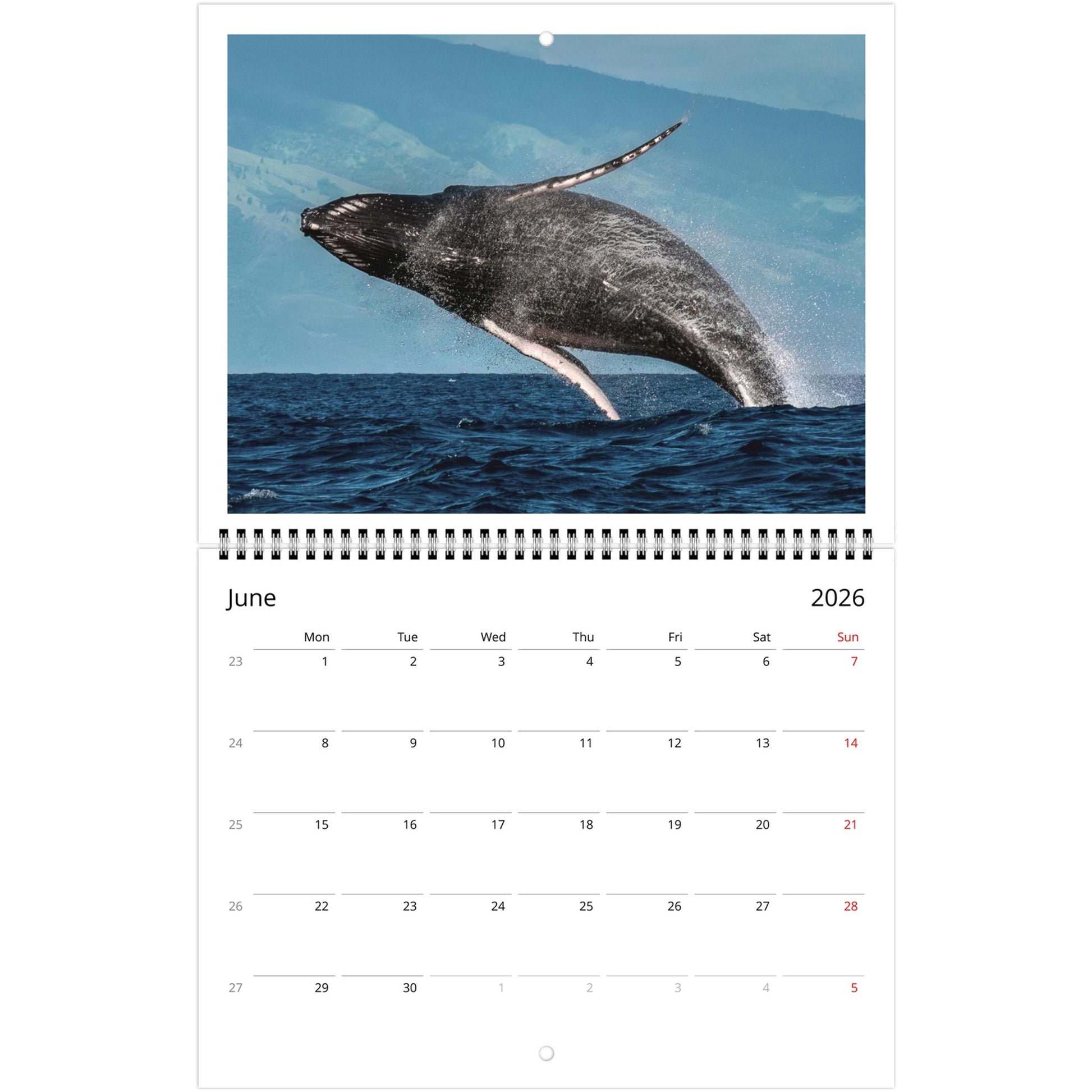 83ad4be3-c5cb-4484-be6f-020e9e64c99f