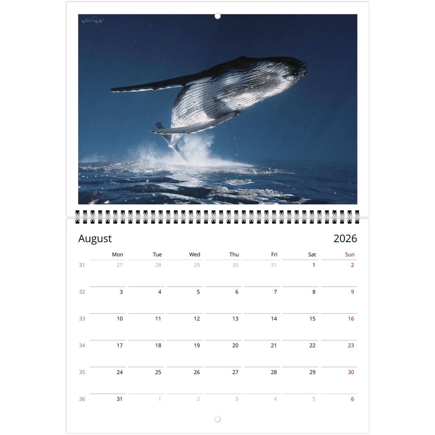 95630d13-e048-4eed-8d4a-c2fcfdd35aea