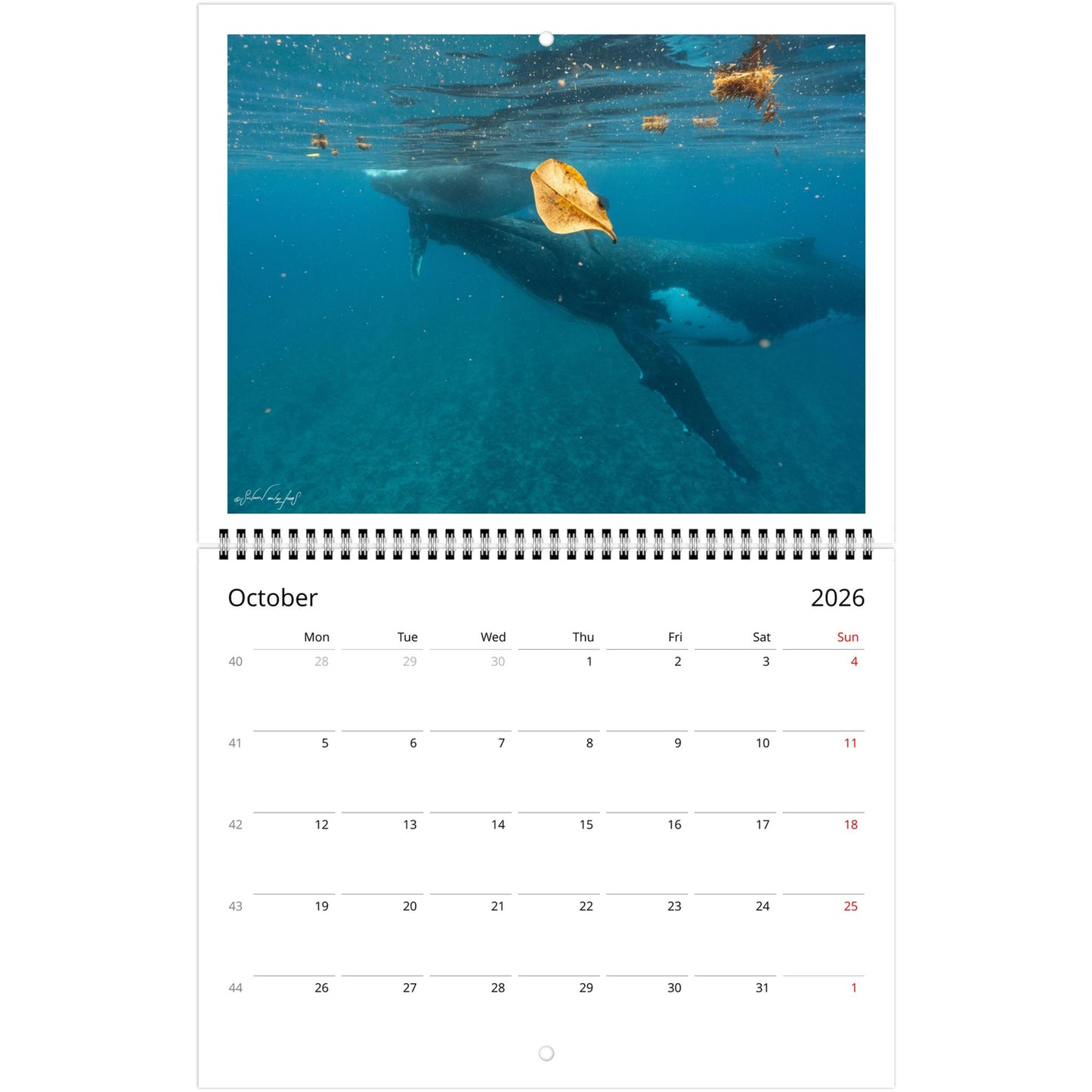 a6a201cc-d937-416e-b602-e9ec23d7ca54