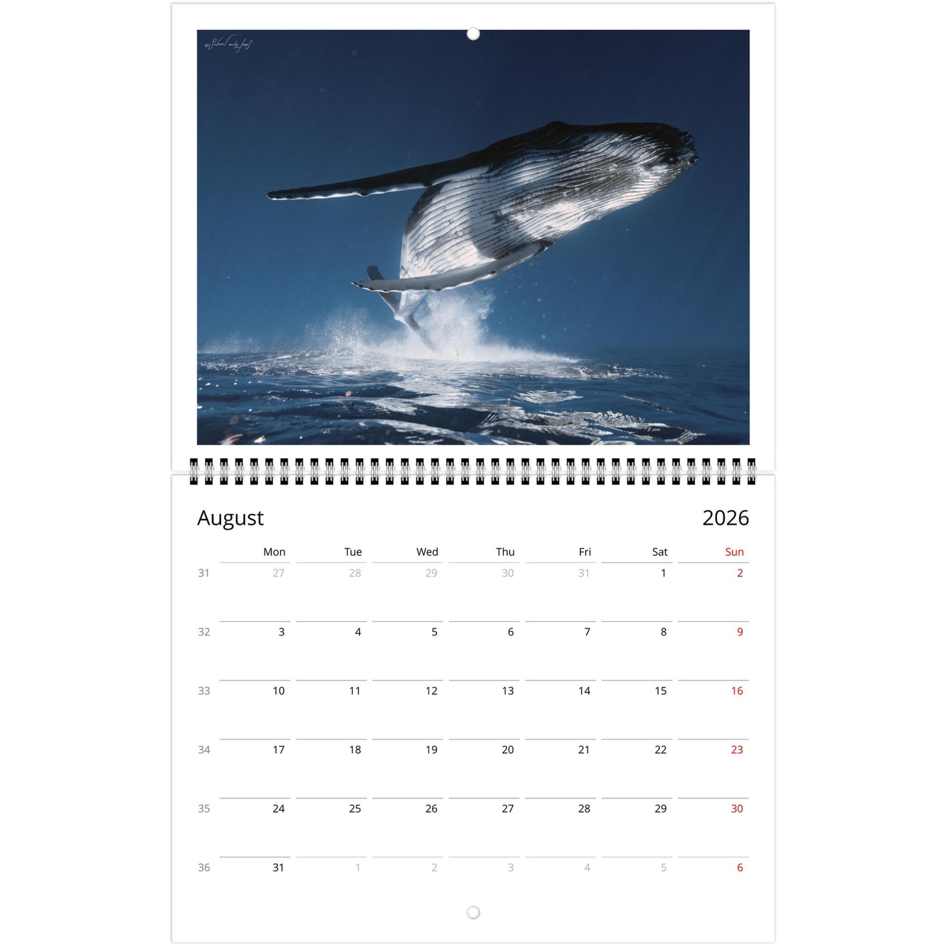 a8724261-19d6-4b57-a7ec-cb289f4f0a35