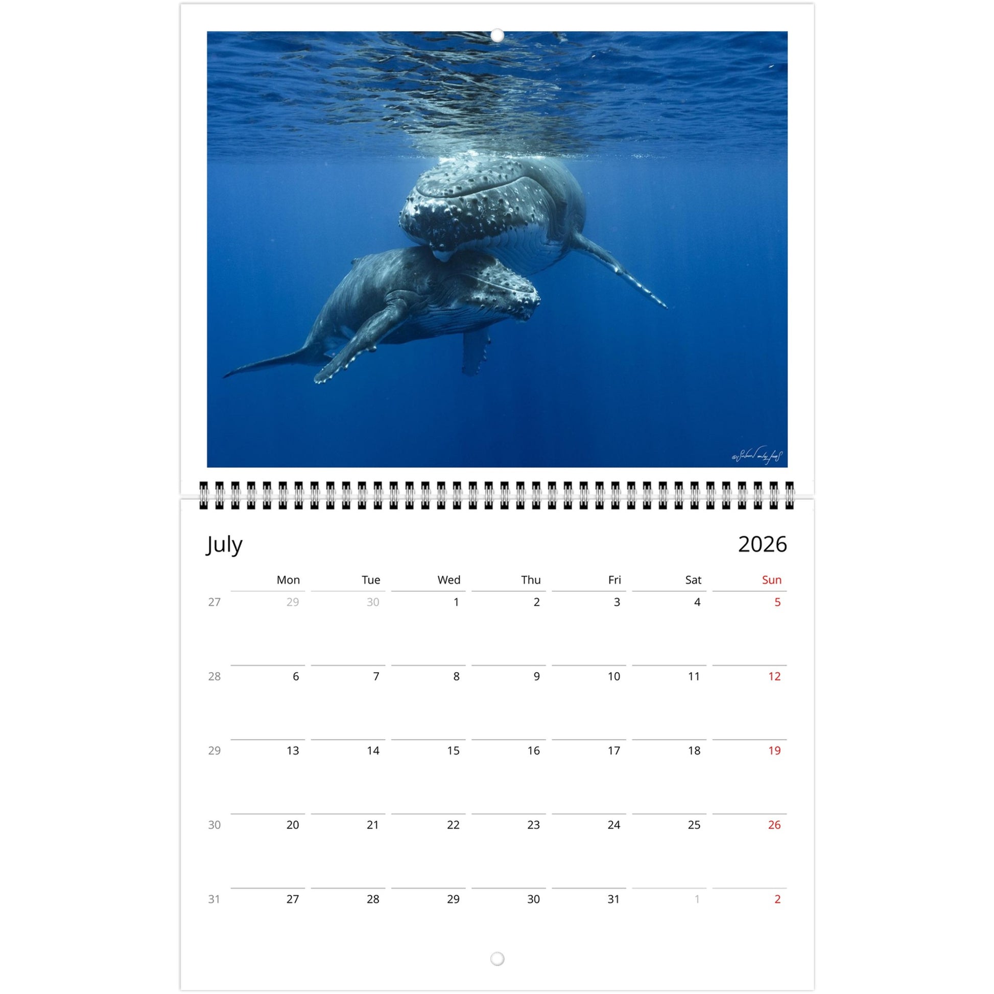 afbde028-e3dc-4d3c-b2e3-31a8d5852d62