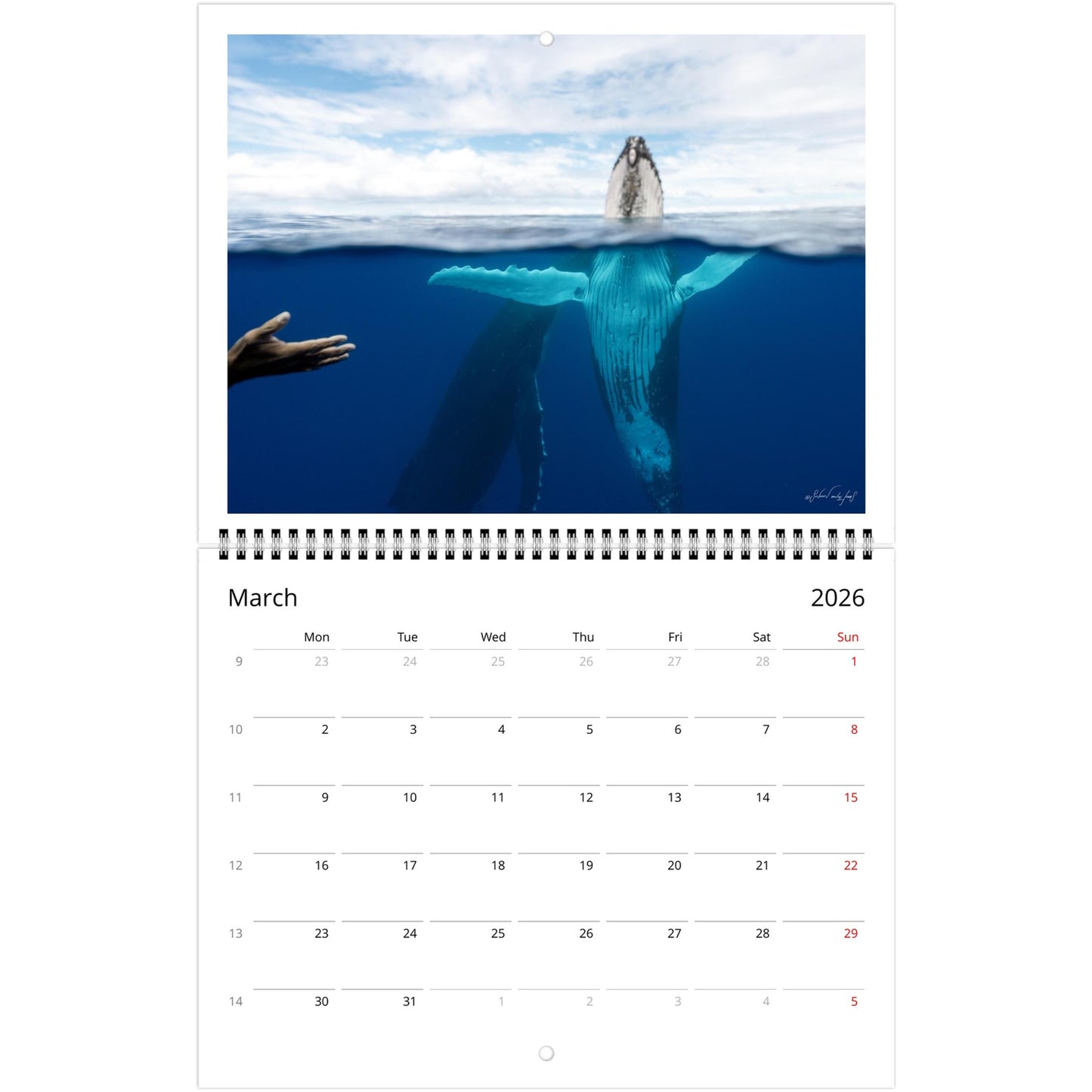 b2d47529-c6a2-4bbf-a657-b76589d68bc3