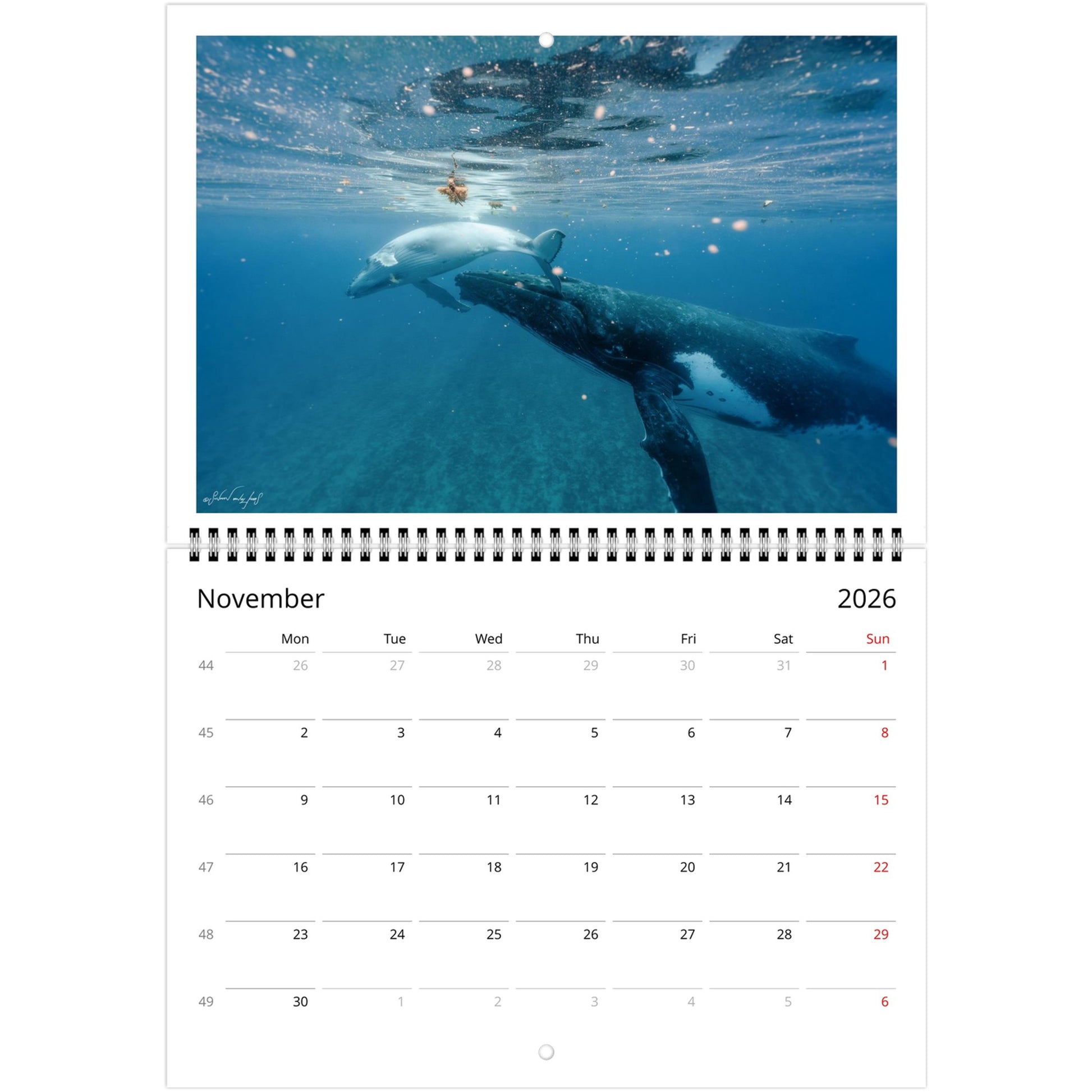 be0a5243-3a84-4d4b-9975-f96453f2e431