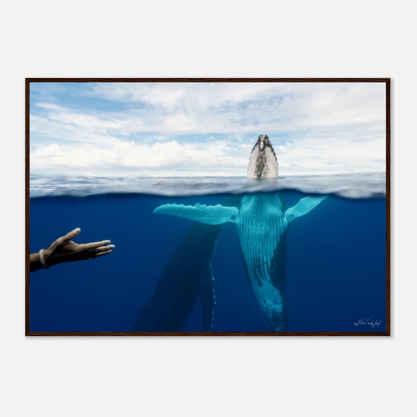 c259d777-4dc7-4659-9901-bc14a91f2285