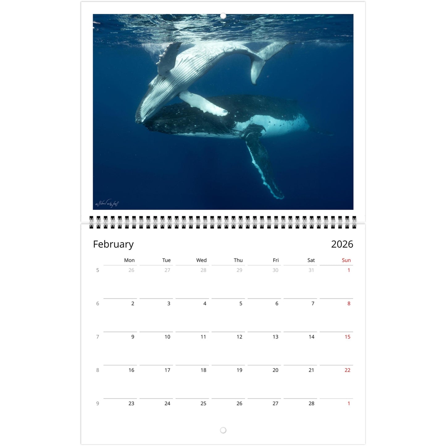 d1c97747-c0bf-4e7c-a039-f4815e146b8d