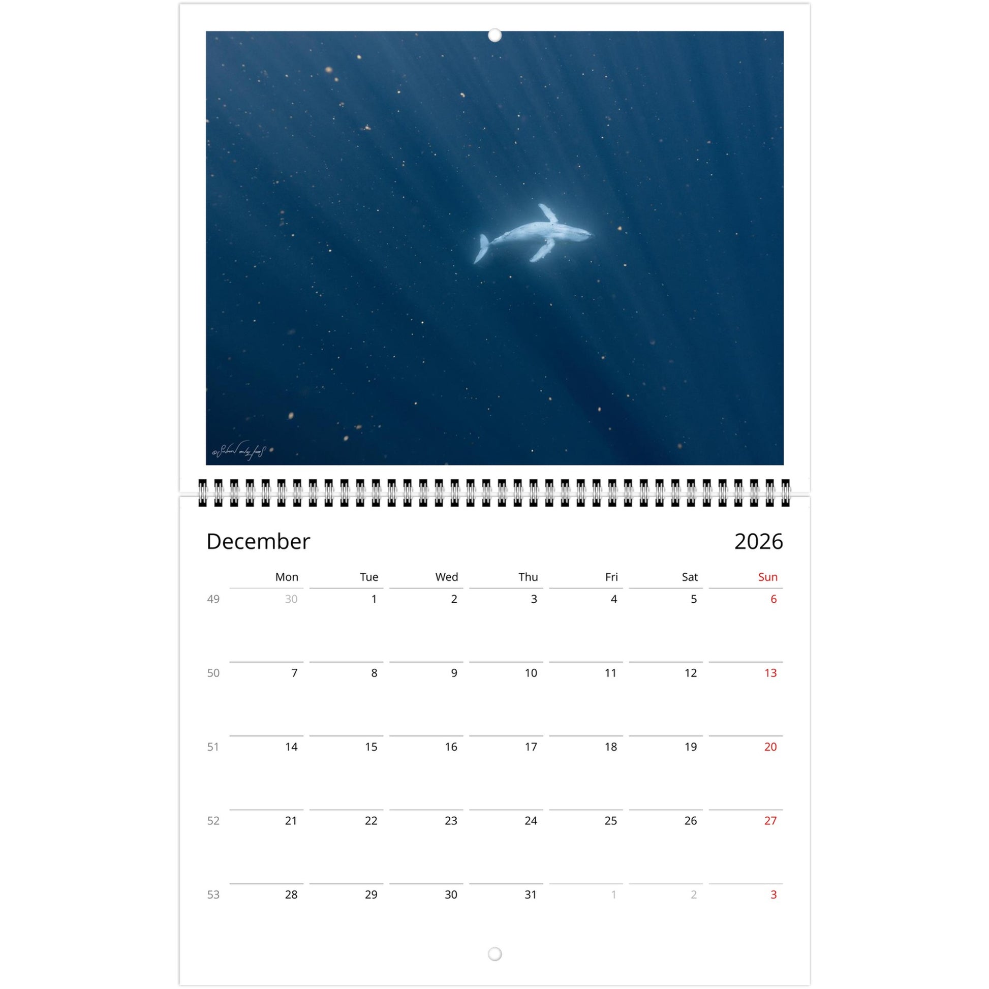 daf5c36d-970d-4600-932d-e05daa007447