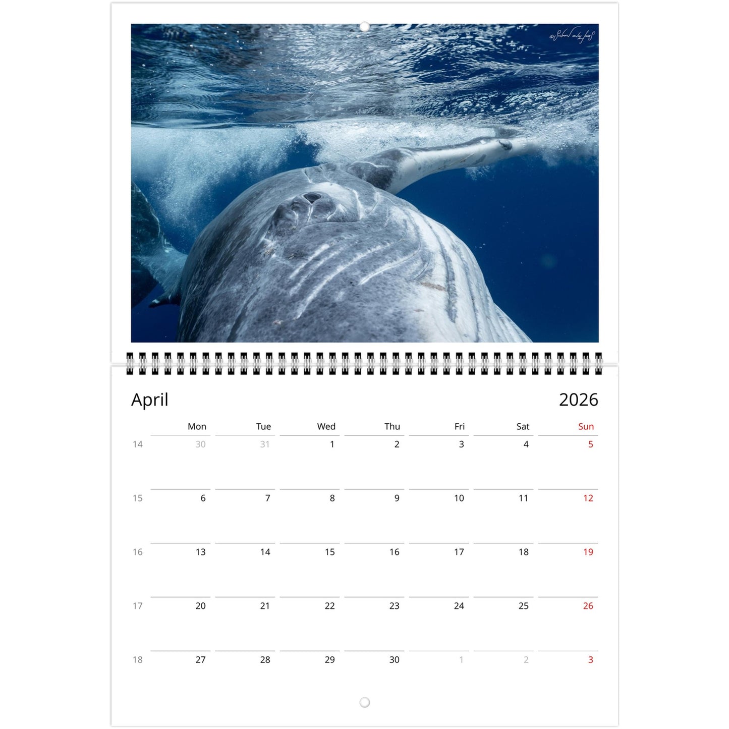 e0000cba-9fe7-4d38-9165-7f4faa6857a8