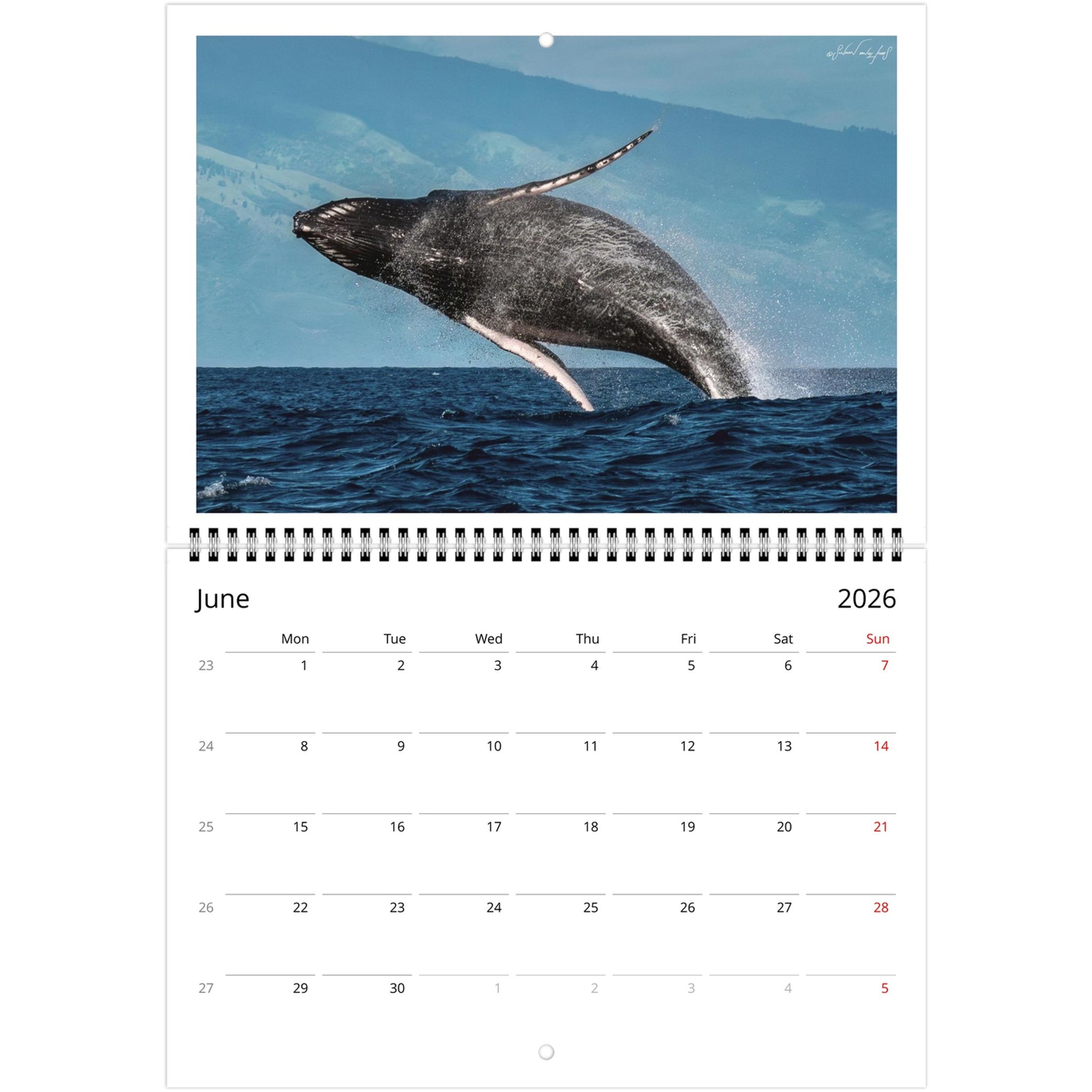 e4f9a0c2-4956-4a15-b639-943b72d10f0c