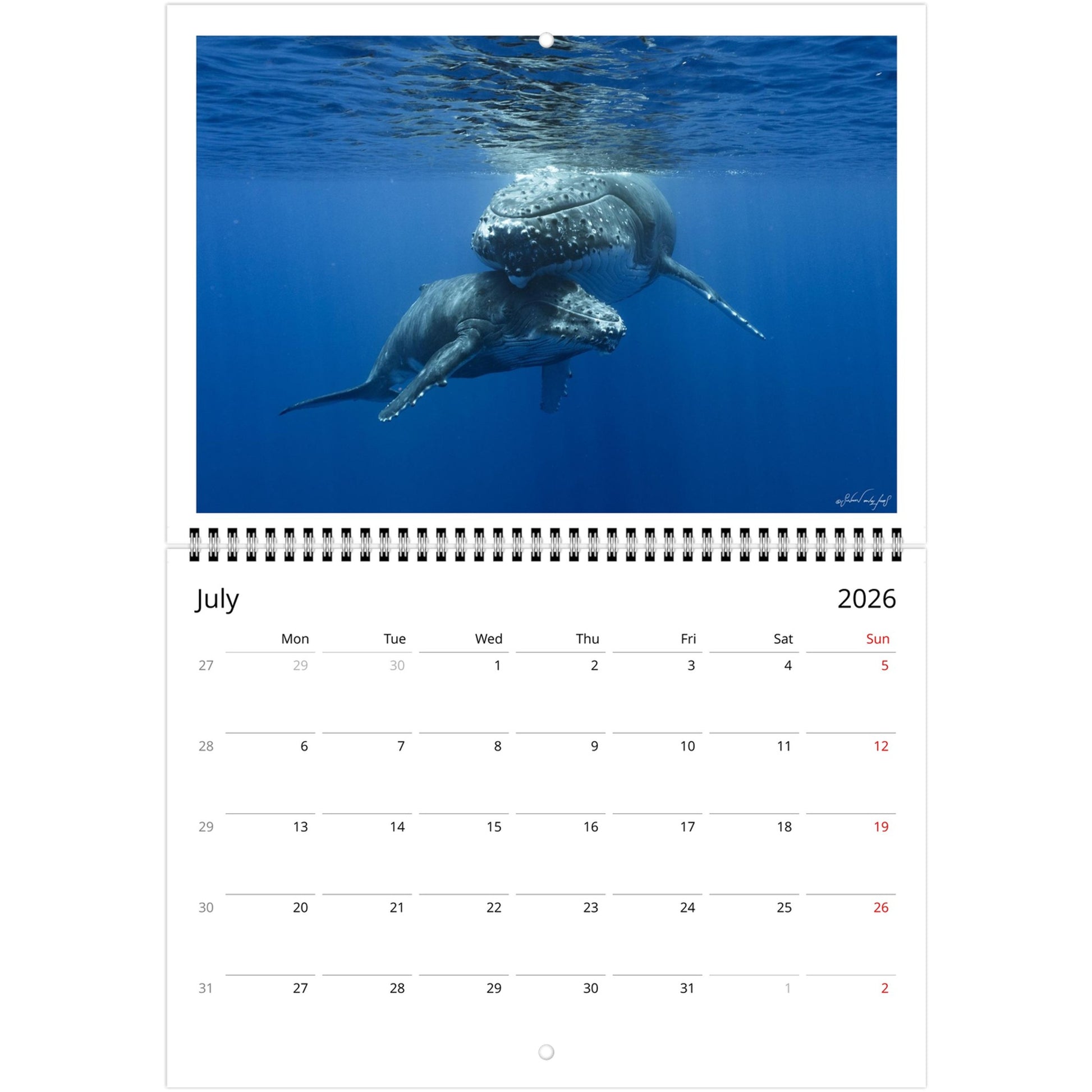 edda67f8-f5ad-4ccd-b7b2-7d5a3ec9a296