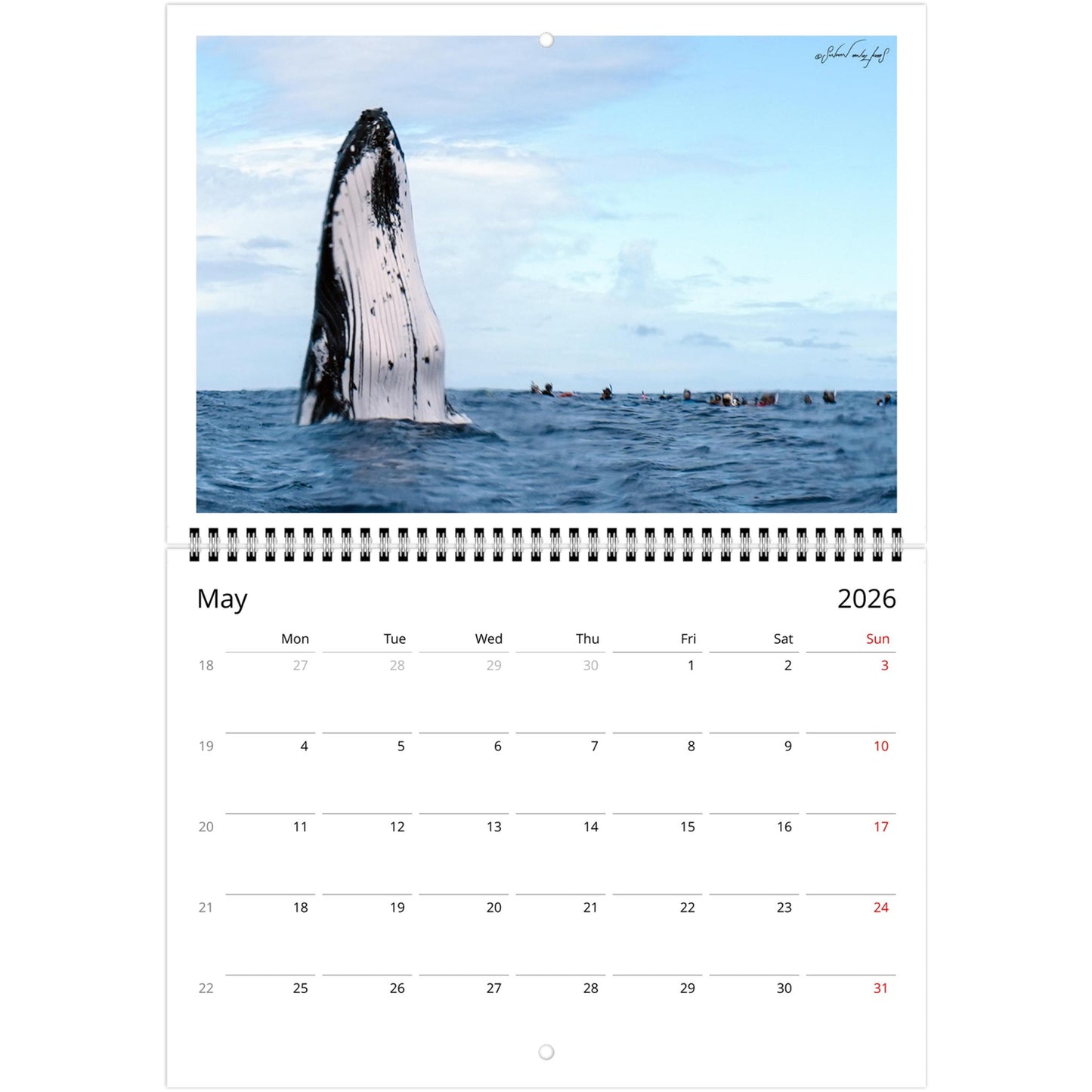 f62290fb-55b9-496b-994f-c006cccf6568