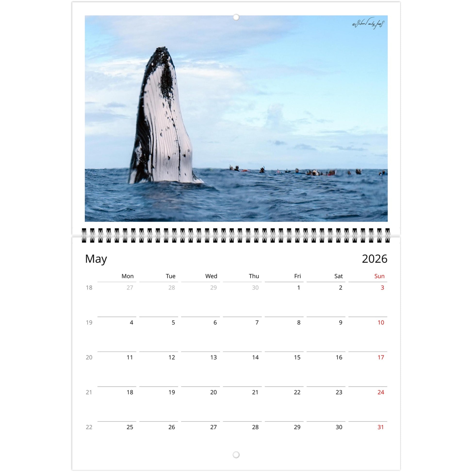 f62290fb-55b9-496b-994f-c006cccf6568