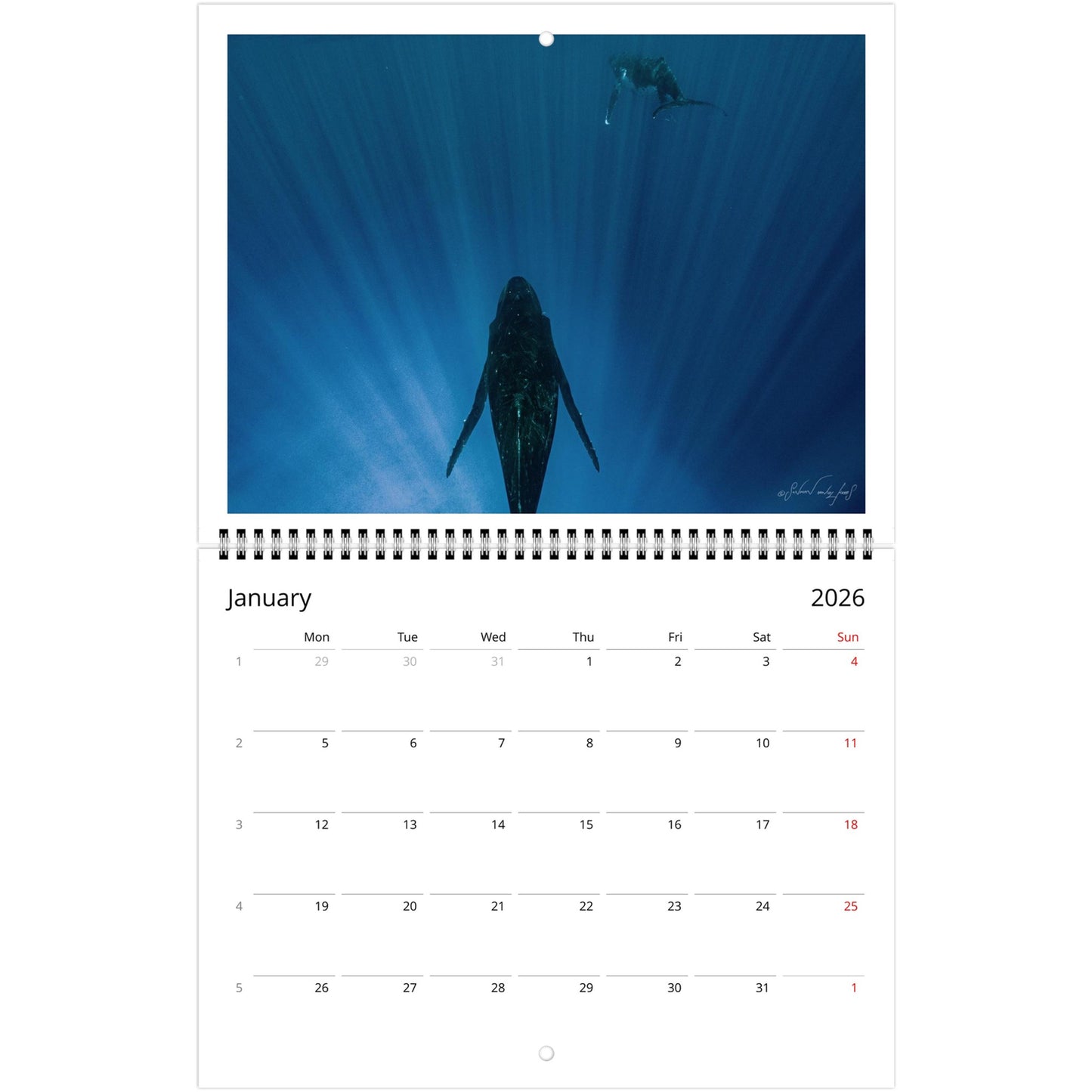 f921faad-354a-4d55-8318-5787732a7b19